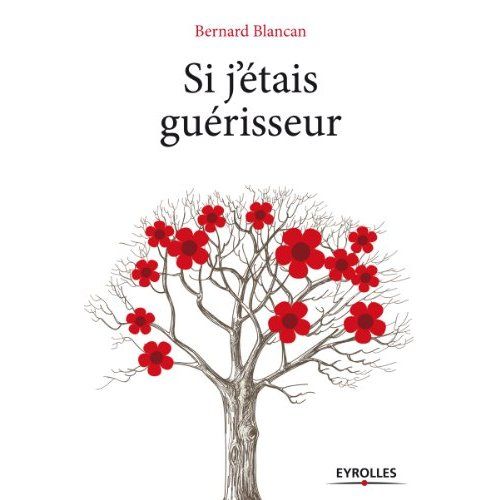 Emprunter Si j'étais guérisseur livre