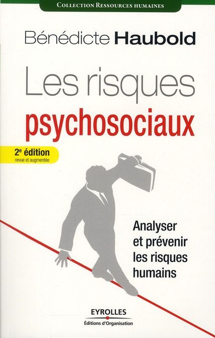 Emprunter Les risques psychosociaux. Analyser et prévenir les risques humains, 2e édition livre