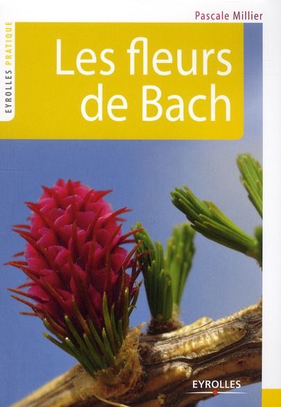 Emprunter Les fleurs de Bach. 2e édition livre