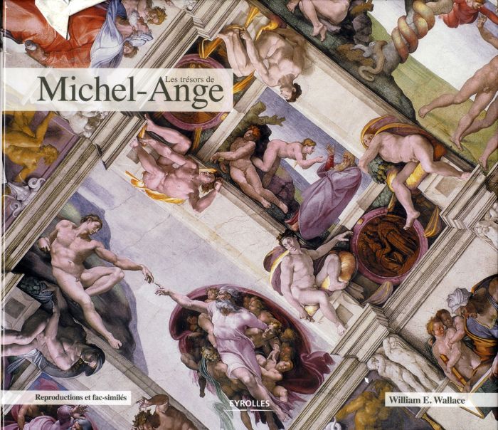 Emprunter Les trésors de Michel-Ange livre