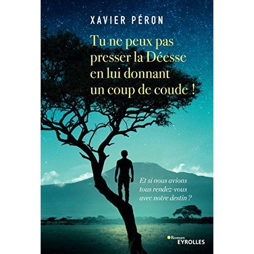 Emprunter Tu ne peux pas presser la Déesse en lui donnant un coup de coude ! livre