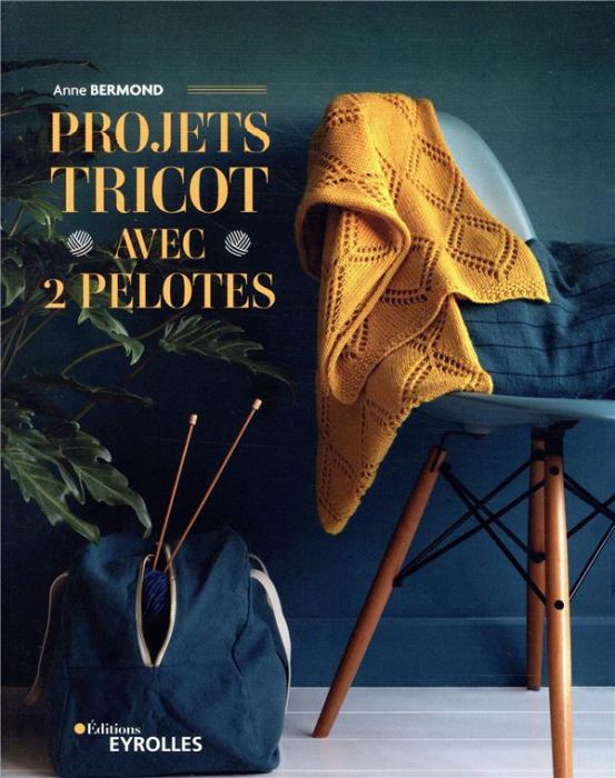 Emprunter Projets tricot avec 2 pelotes livre