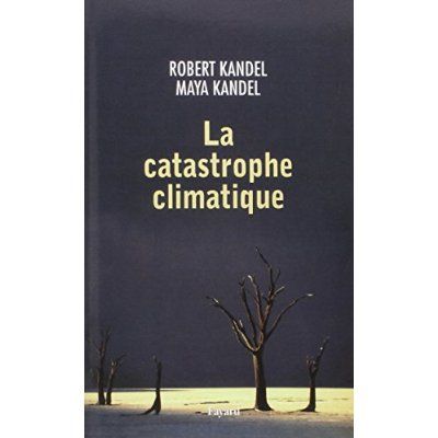 Emprunter La catastrophe climatique livre