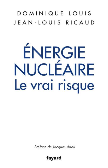 Emprunter Energie nucléaire. Le vrai risque livre