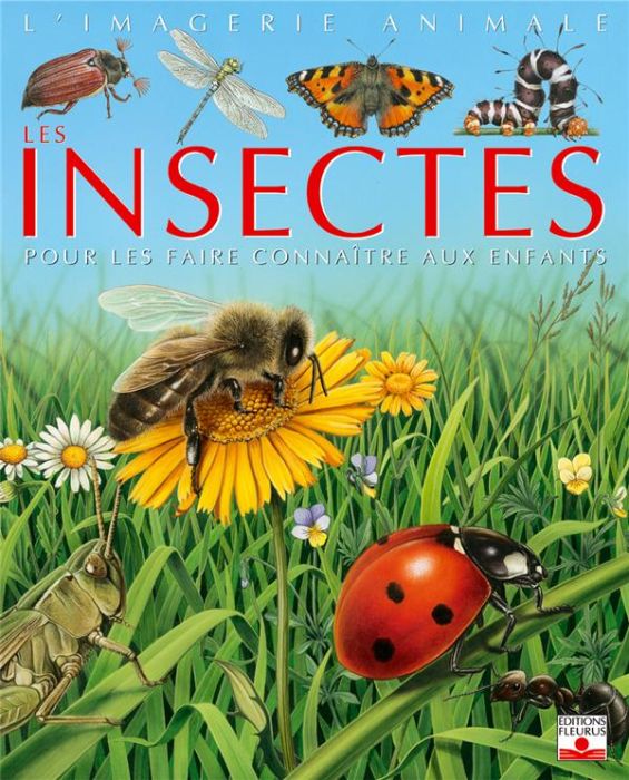 Emprunter Les insectes livre