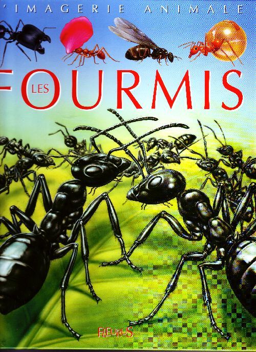 Emprunter Les fourmis livre