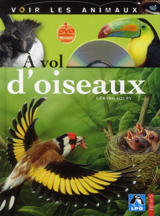 Emprunter A vol d'oiseaux. Avec 1 DVD livre