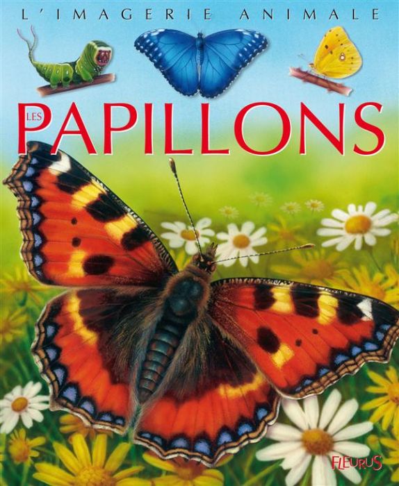 Emprunter Les papillons livre