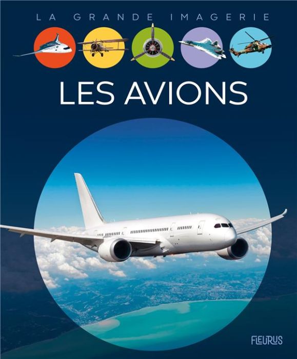 Emprunter Les avions livre