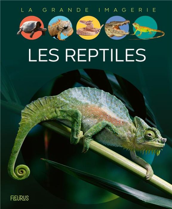 Emprunter L'imagerie animale. Les reptiles livre