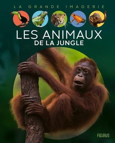 Emprunter Les animaux de la jungle livre