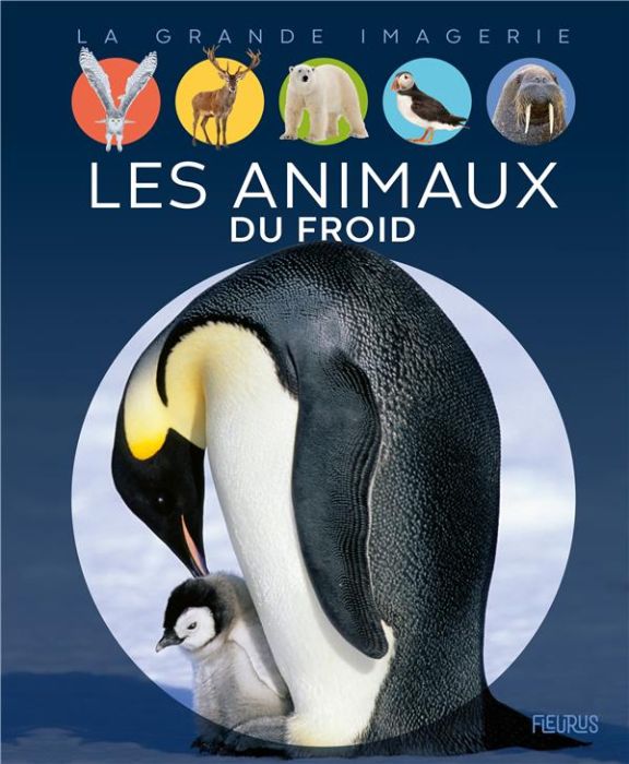 Emprunter Les animaux du froid livre