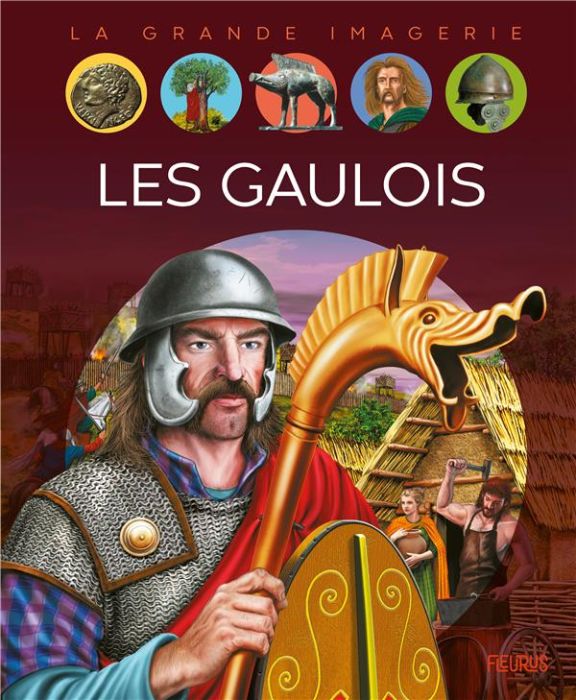 Emprunter Les Gaulois livre