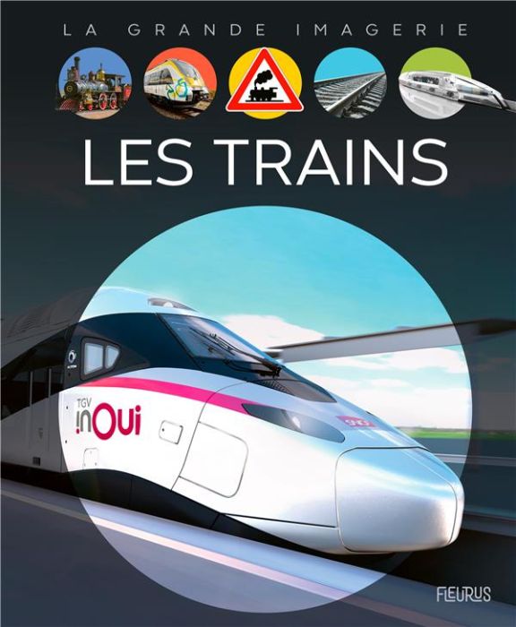 Emprunter Les trains livre