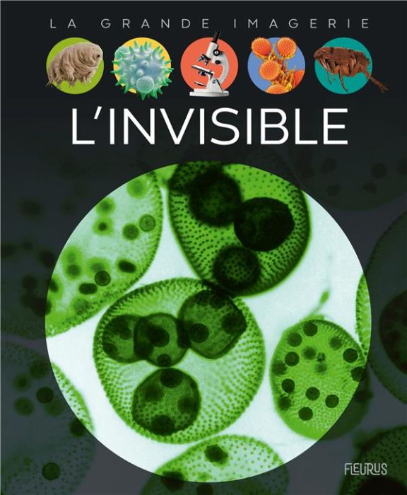 Emprunter L'invisible livre