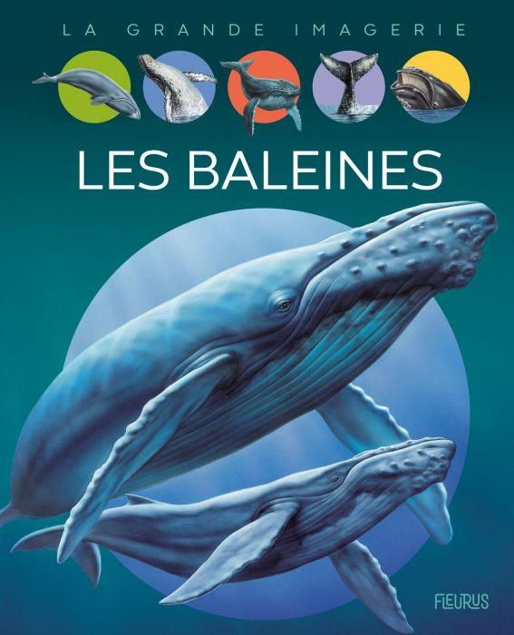 Emprunter Les baleines livre