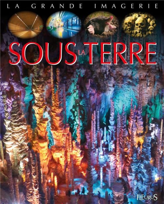 Emprunter Sous la terre livre