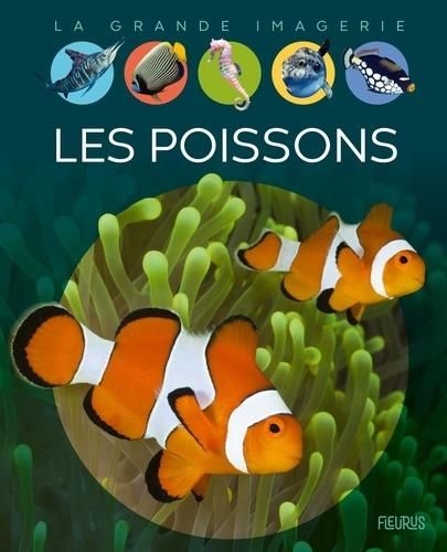 Emprunter Les poissons livre