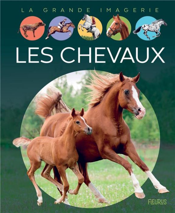 Emprunter Les chevaux livre