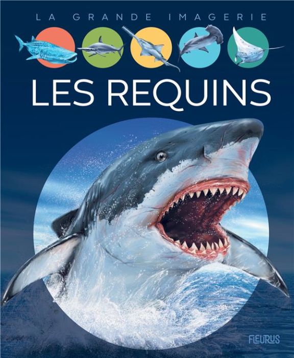 Emprunter Les requins livre