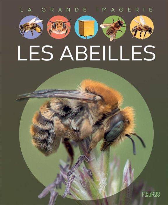 Emprunter Les abeilles livre