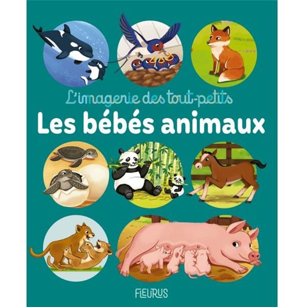 Emprunter Les bébés animaux livre