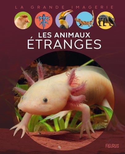 Emprunter Les animaux étranges livre