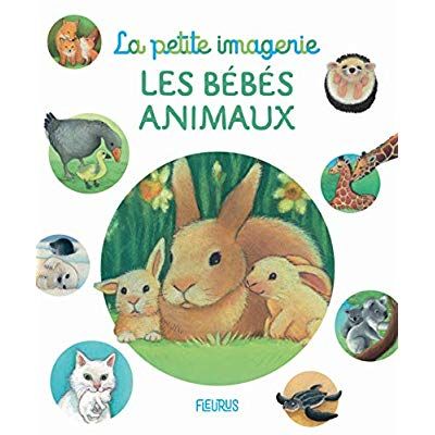 Emprunter Les bébés animaux livre