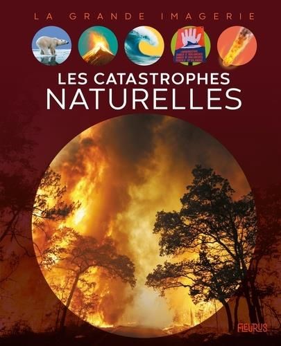 Emprunter Les catastrophes naturelles livre