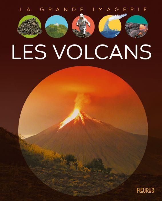 Emprunter Les volcans livre