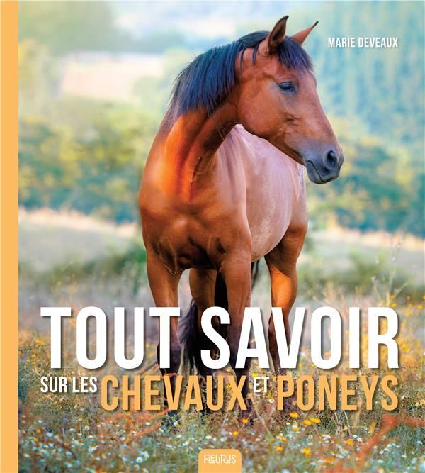 Emprunter Tout savoir sur les chevaux et poneys livre