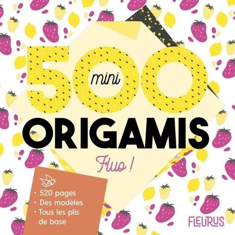 Emprunter 500 mini origamis fluo ! livre