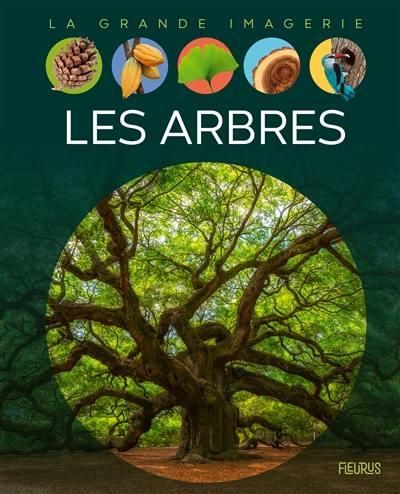 Emprunter Les arbres livre