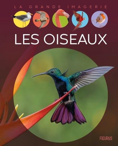 Emprunter Les oiseaux livre