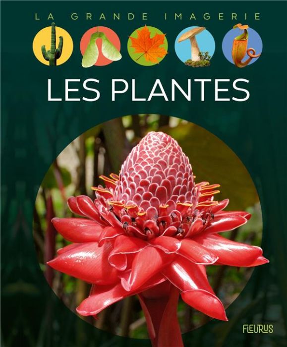 Emprunter Les plantes livre