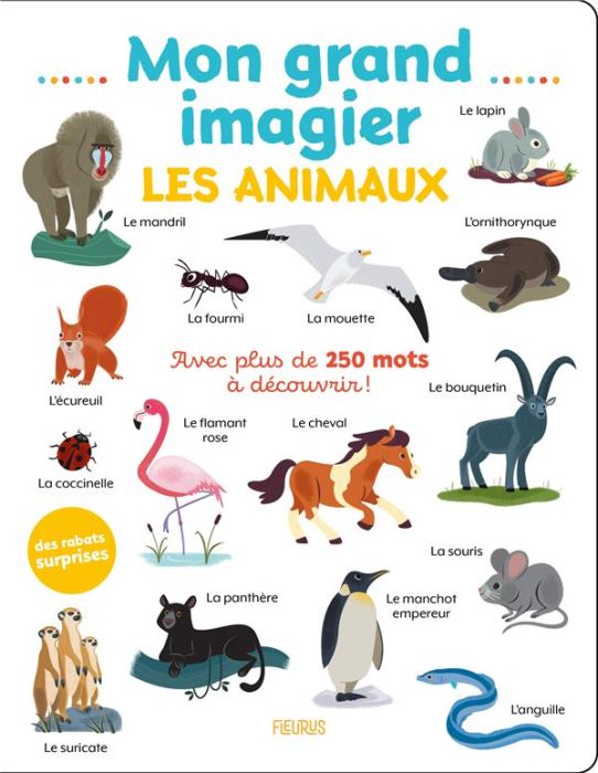 Emprunter Mon grand imagier Les animaux livre