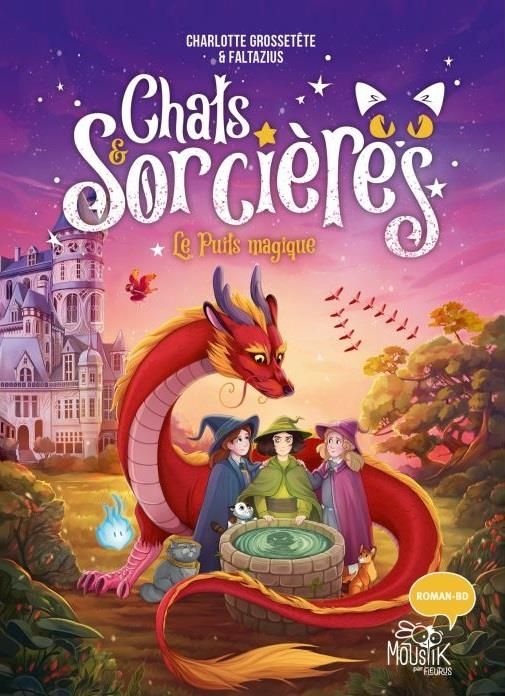 Emprunter Chats & Sorcières Tome 3 : Le puits magique livre