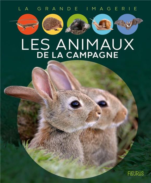 Emprunter Les animaux de la campagne livre