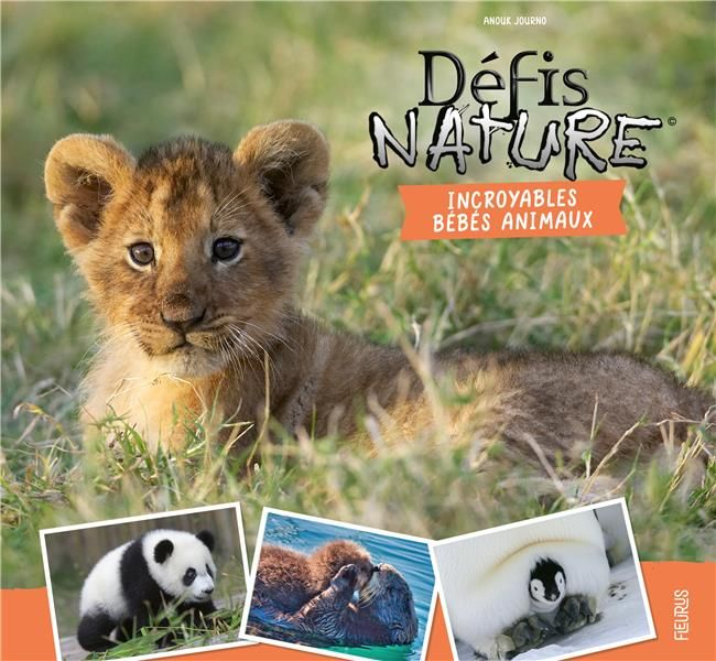 Emprunter Incroyables bébés animaux livre