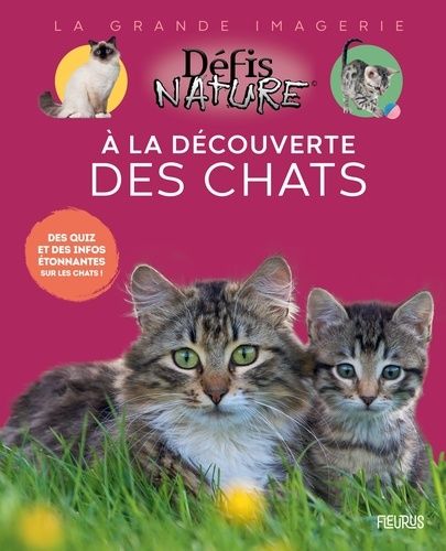 Emprunter A la découverte des chats livre