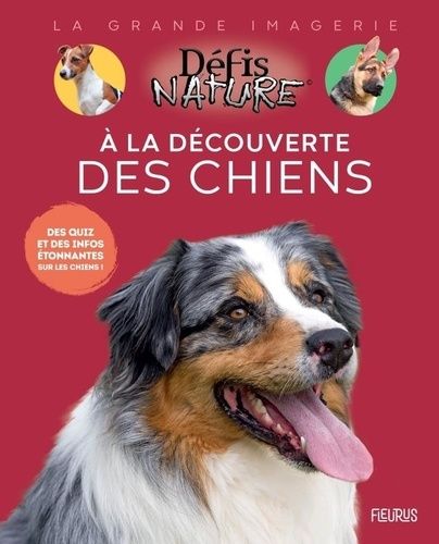 Emprunter A la découverte des chiens livre