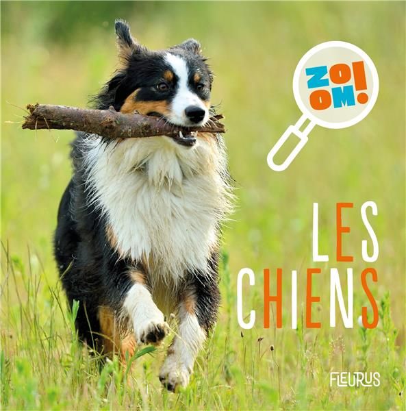 Emprunter Les chiens livre