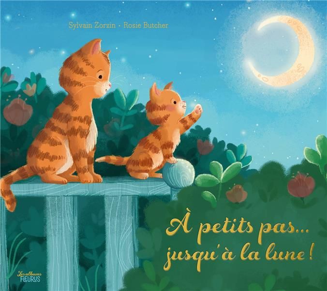 Emprunter A petits pas... jusqu'à la lune ! livre