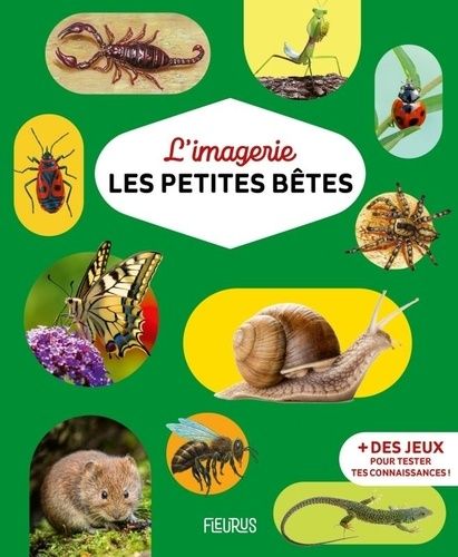 Emprunter Les petites bêtes livre