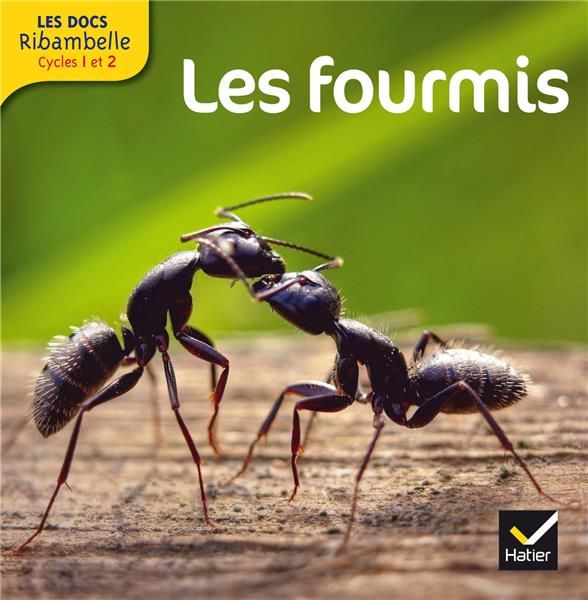 Emprunter Les fourmis. Grande section, CP, CE1 (Cycle 2), Edition 2013 livre