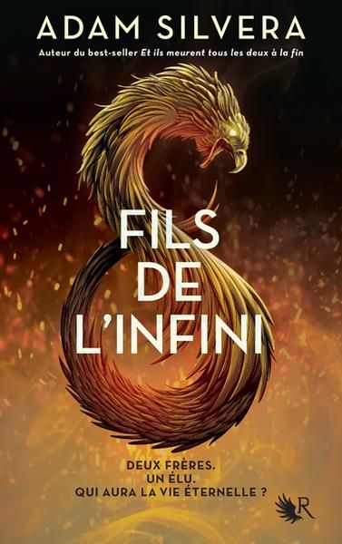 Emprunter Fils de l'infini. Tome 1 livre