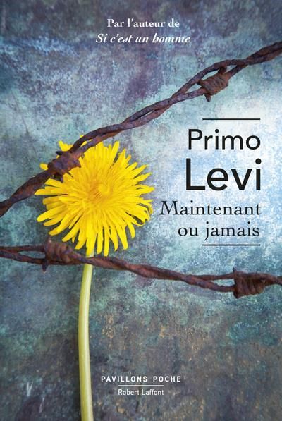 Emprunter Maintenant ou jamais livre