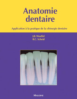 Emprunter Anatomie dentaire. Application à la pratique de la chirurgie dentaire livre