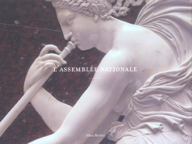 Emprunter L'Assemblée nationale livre