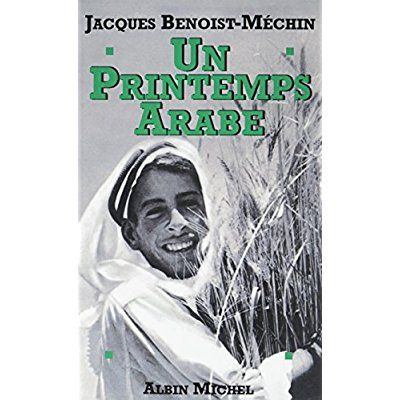 Emprunter Un printemps arabe livre